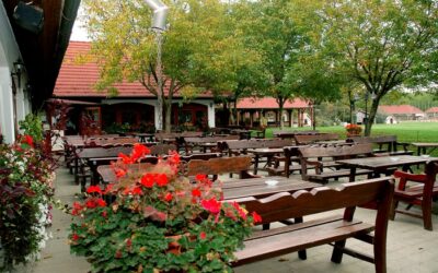 „Az év magyaros étterme” 2025-ben az Új Tanyacsárda (Felsőlajos), az Öreg Tanyacsárda pedig bekerült a Gault&Millau kiadványba